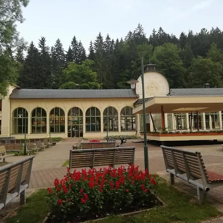 Jestřáb 5 * Janské Lázně